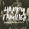 Studies in the life of David